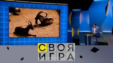 Участники: Евгений Марьенко, Александр Успанов, Иван Агапов 21.06.2023