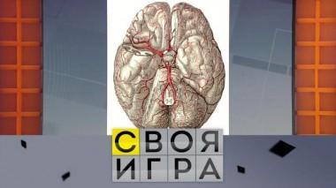 Участники: Сергей Евдокимов, Александр Рождествин, Евгения Атькова 24.02.2022