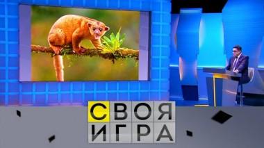 Участники: Александр Монвиж-Монтвид, Ольга Баранова, Давид Эджибия 22.02.2024