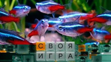 Участники: Игорь Мокин, Владимир Полозов, Константин Шлыков 05.09.2024