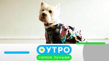 1 июля 2026 года 01.07.2026