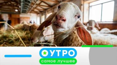 10 апреля 2026 года 10.04.2026