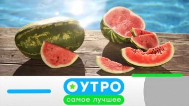 10 июня 2024 года 10.06.2024