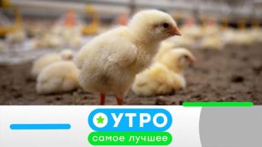 13 мая 2026 года 13.05.2026