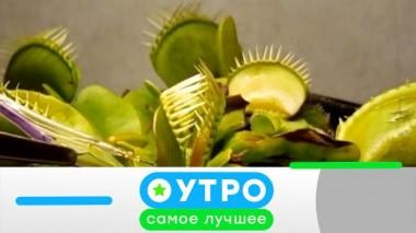 13 сентября 2024 года 13.09.2024