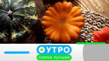 15 февраля 2024 года 15.02.2024