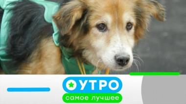 15 ноября 2023 года 15.11.2023
