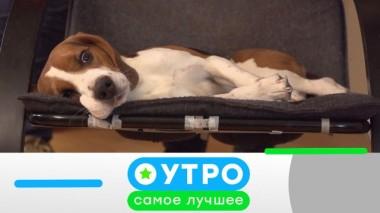 17 марта 2020 года 17.03.2020