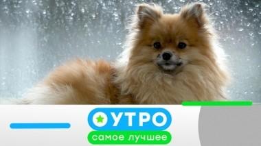 18 июня 2019 года 17.06.2019