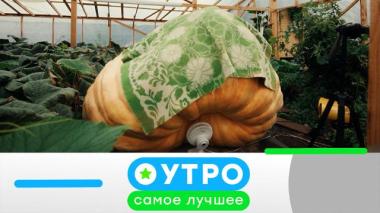 21 апреля 2026 года 21.04.2026