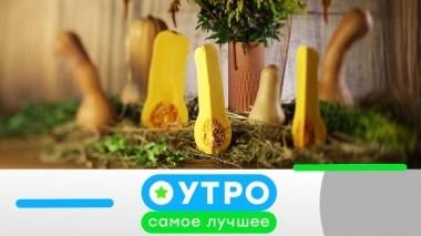 22 марта 2019 года 22.03.2019