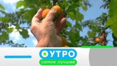 23 ноября 2023 года 23.11.2023