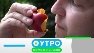 24 марта 2020 года 24.03.2020