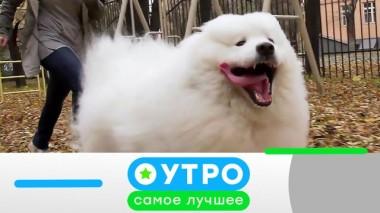 25 марта 2020 года 24.03.2020