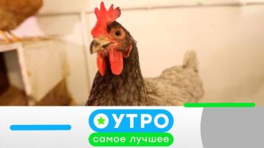 26 сентября 2025 года 26.09.2025