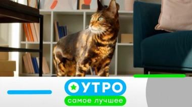 27 декабря 2023 года 27.12.2023