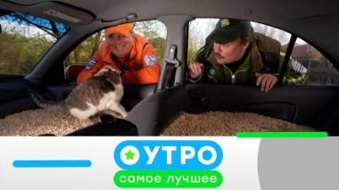 3 июля 2024 года 03.07.2024