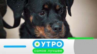 4 июня 2019 года 03.06.2019