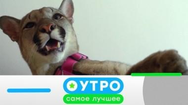 6 мая 2019 года 05.05.2019