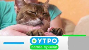 12 августа 2020 года 12.08.2020