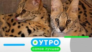 12 октября 2022 года 12.10.2022