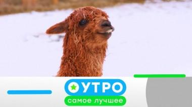 14 мая 2021 года 14.05.2021