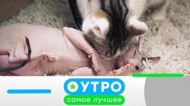 15 декабря 2020 года 15.12.2020