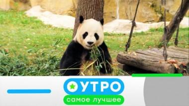 16 марта 2023 года 16.03.2023