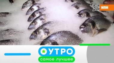 17 ноября 2020 года 16.11.2020