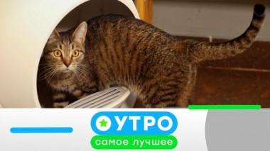 21 апреля 2022 года 21.04.2022