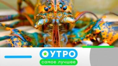 21 марта 2023 года 21.03.2023