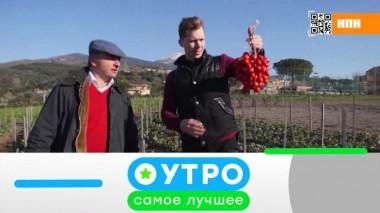 22 апреля 2021 года 21.04.2021