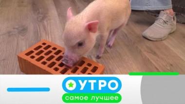 23 ноября 2021 года 23.11.2021