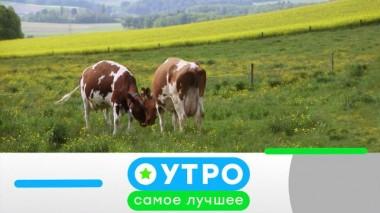25 февраля 2021 года 25.02.2021