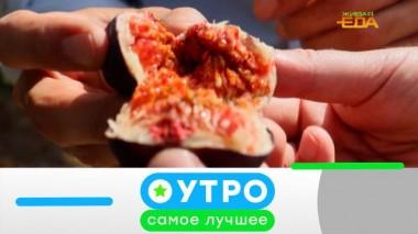 26 июля 2022 года 26.07.2022