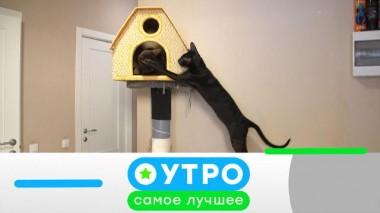 4 февраля 2021 года 04.02.2021