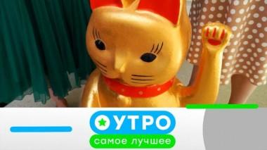 6 июля 2023 года 06.07.2023