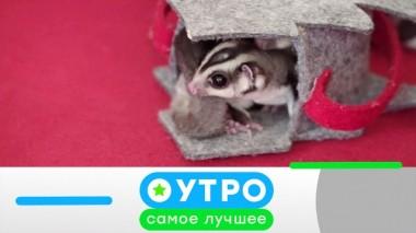 7 августа 2020 года 07.08.2020