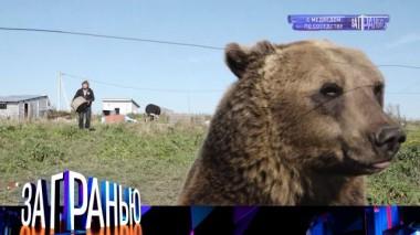 «С медведем по соседству» 03.11.2021