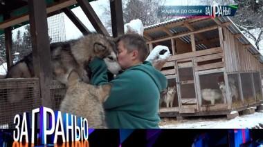 «Жадина до собак» 18.01.2023