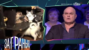«Звериная двушка» 27.03.2024